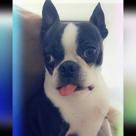 Hello Everyone 🥰💎❤️💖⚘️💍🥂 - Picture 14 of 17